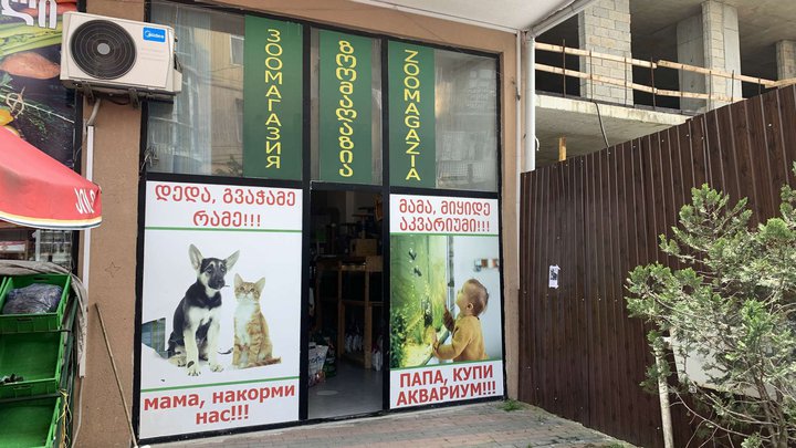 Zoomagazia