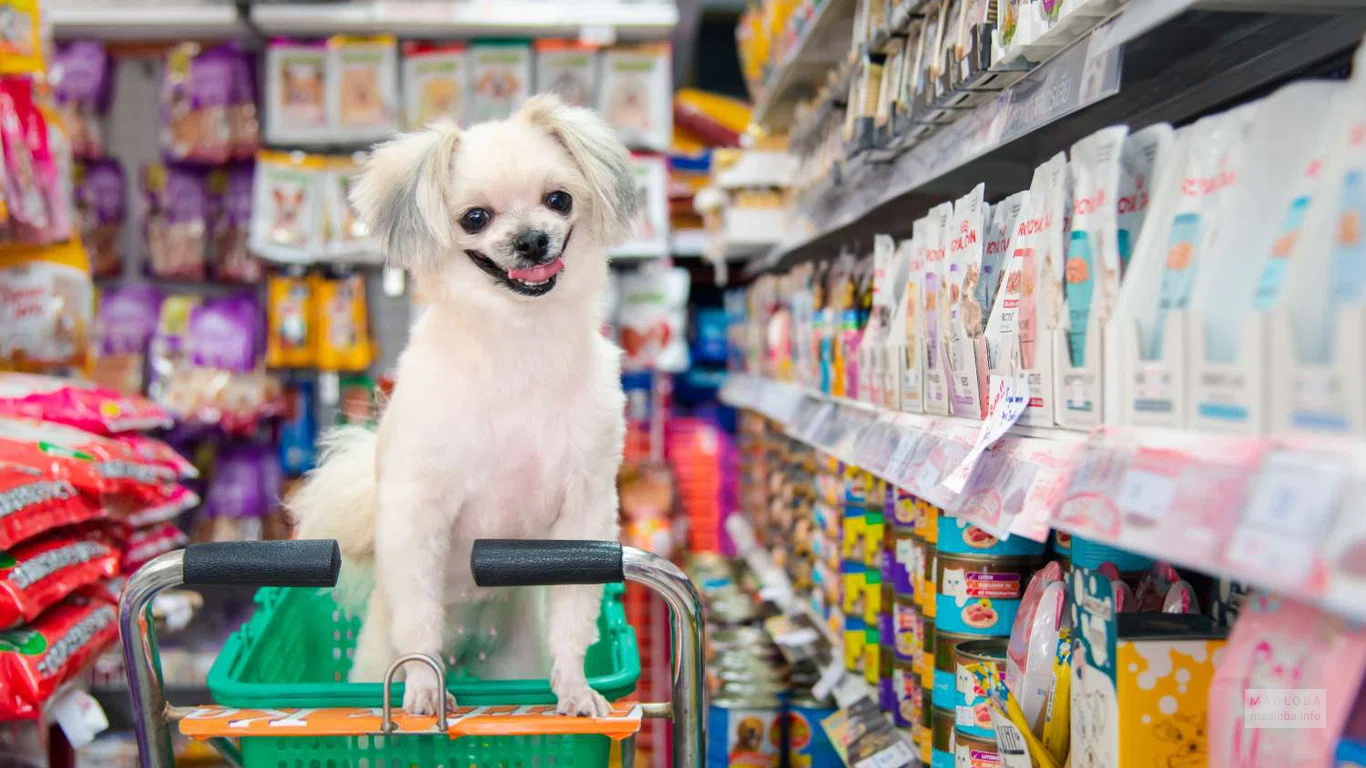 Pet store (Selima Khimshiashvili St.)