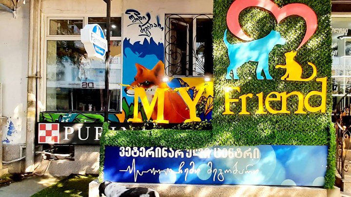My Friend