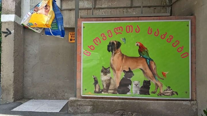 Tbilisi Pet Shop
