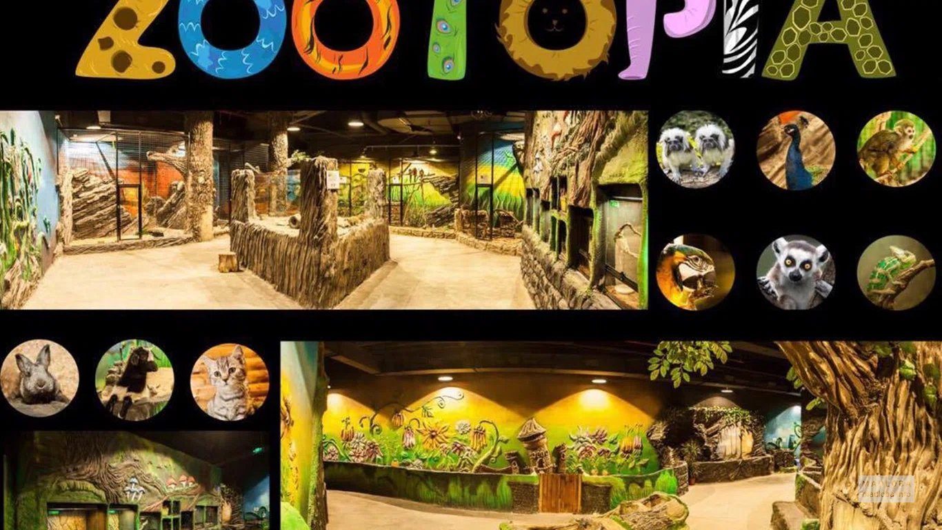 Zootopia (Tbilisi Mall)