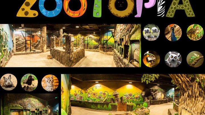 Zootopia (Tbilisi Mall)