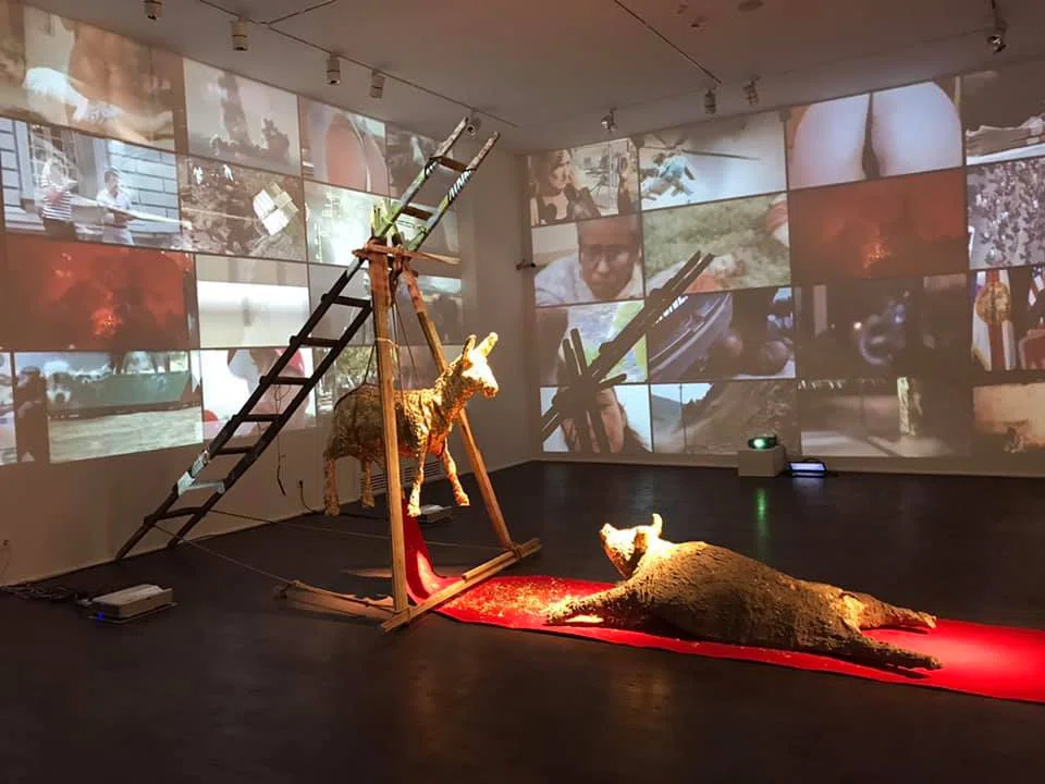 Инсталляция в Zurab Tsereteli Modern Art Museum