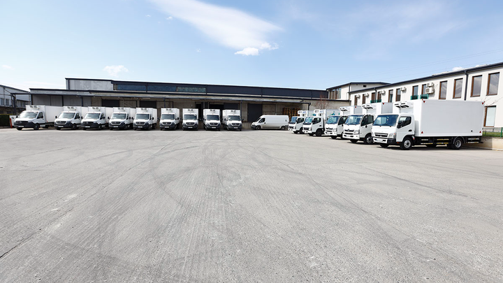Georgian Distribution Marketing Company