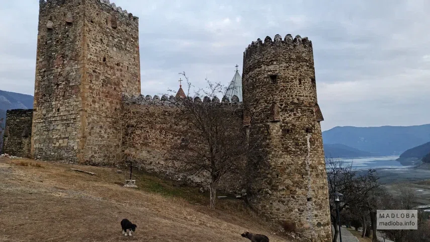 Замок Ананури