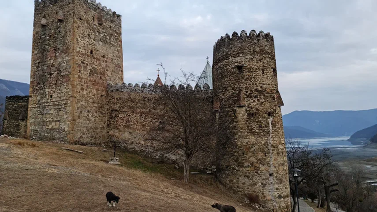 Castle Ananuri