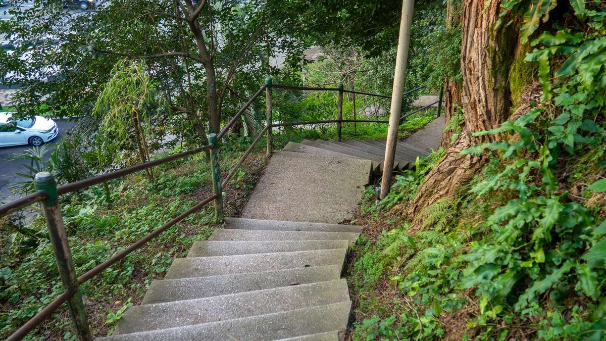 architecture-park-staircase-among-trees-stairs-natural-park-lead-hill-infrastructure-sights-georgia-temple-tamara-batumi.jpg
