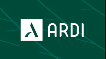 Арди