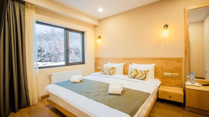 Bakuriani Inn