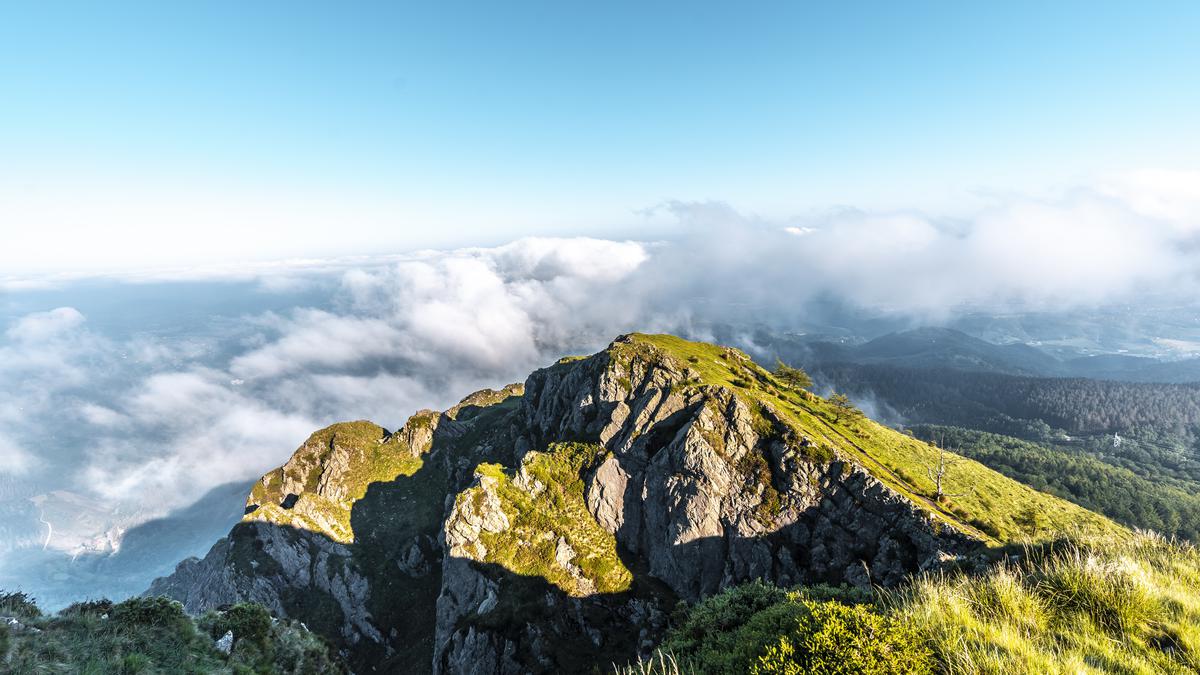 about Georgia
