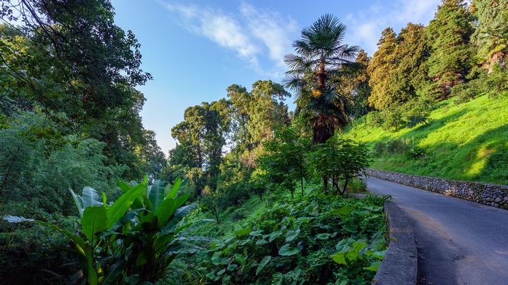 Batumi Botanical Garden