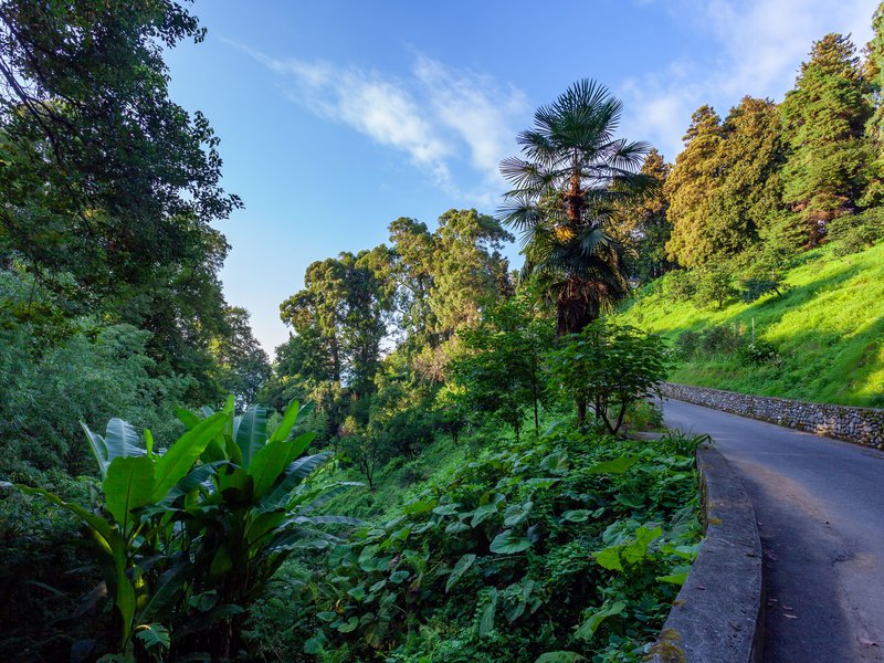 
								Batumi Botanical Garden