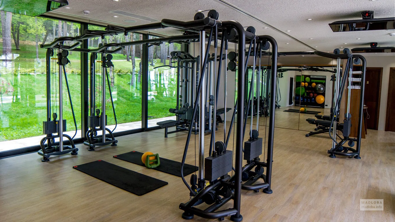 Отель "Bioli Wellness Resort" в Тбилиси