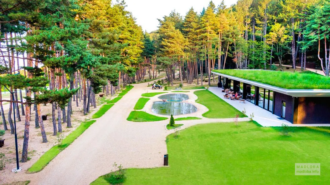 Отель "Bioli Wellness Resort" в Тбилиси