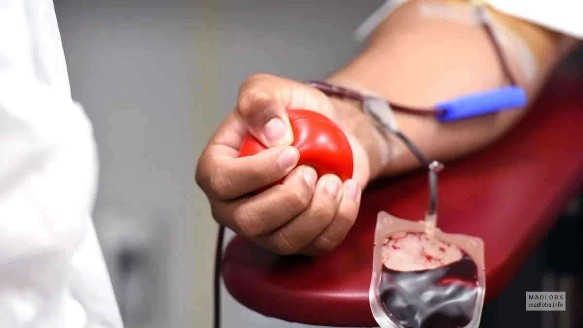 Hemoplasma