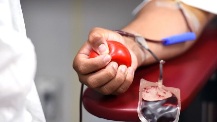 Hemoplasma