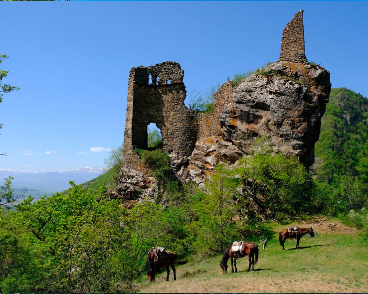 Borjomi