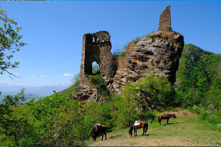 ბუნებრივი საქართველოს უბადლო კუთხეები, ხელუხლებელი სილამაზით სავსე