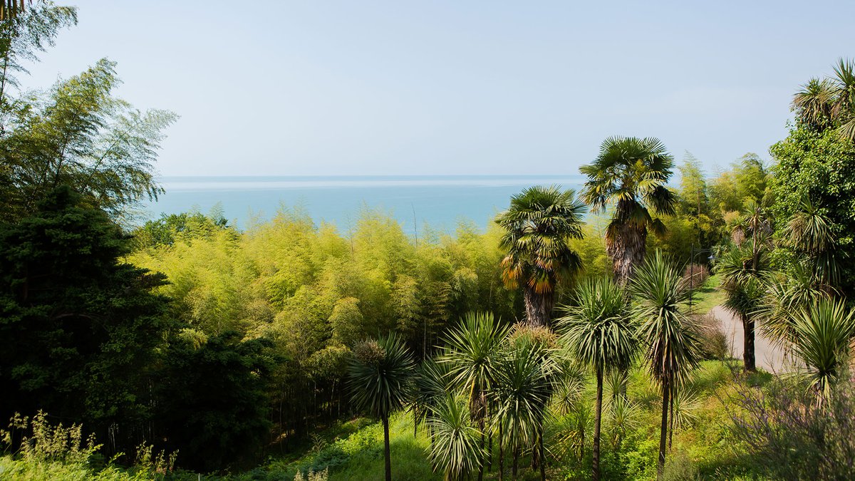 Batumi Botanical Garden