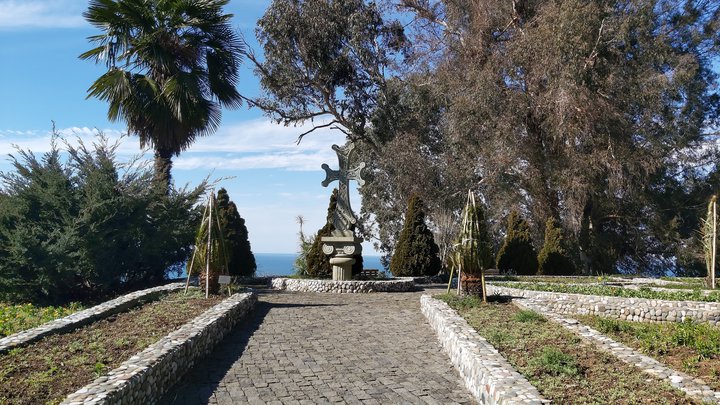 Batumi Botanical Garden
