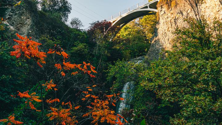 National Botanical Garden of Georgia