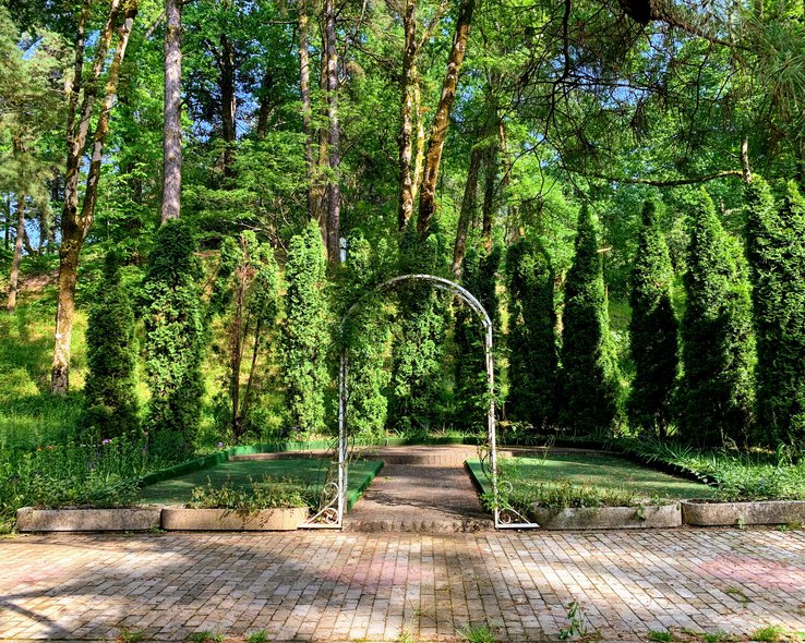 botanicheskij-sad-batumi (17).jpg