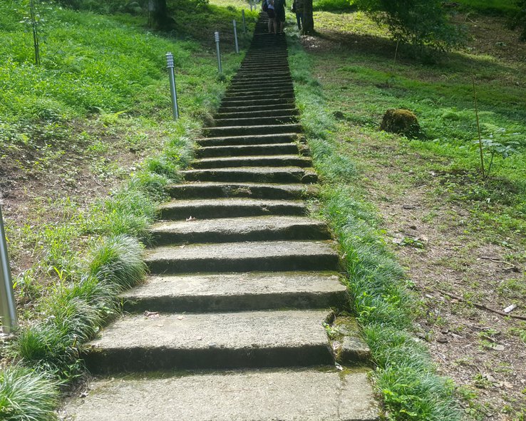 botanicheskij-sad-batumi (19).jpg