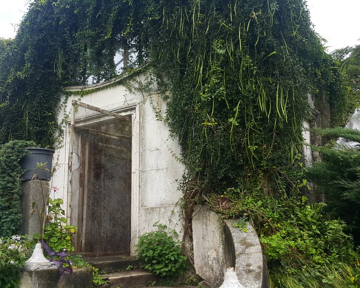 botanicheskij-sad-batumi (24).jpg