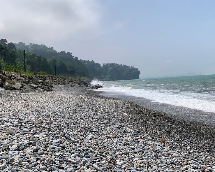 botanicheskij-sad-batumi (8).jpg