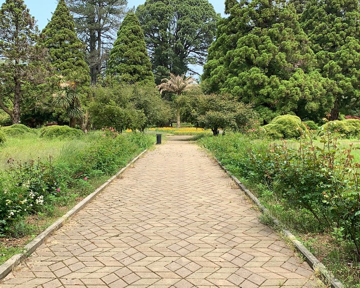 botanicheskij-sad-batumi (9).jpg