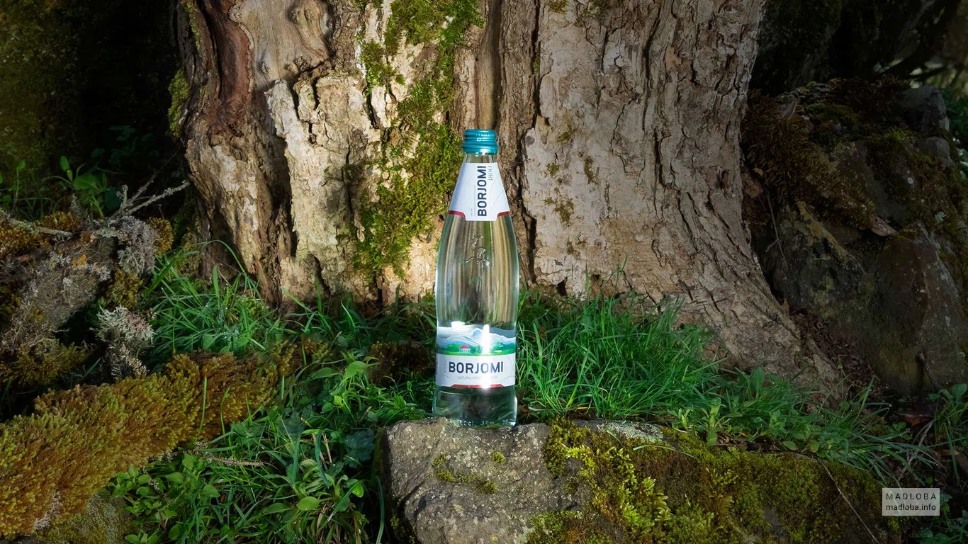Поставщик родниковых и минеральных вод "IDS Borjomi Georgia" бутылка