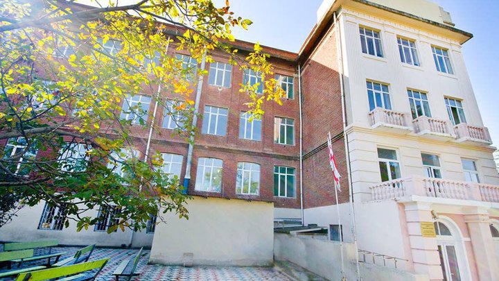 კერძო სკოლა ინტელექტი პლუსი