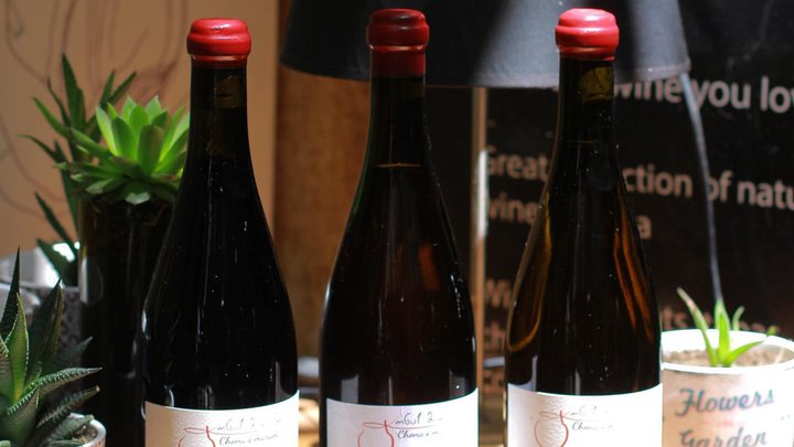 DADI wine bar and shop