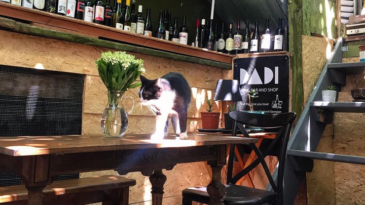 DADI wine bar and shop