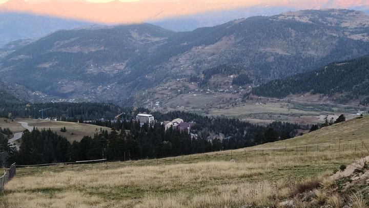 Goderdzi Fossil Forest