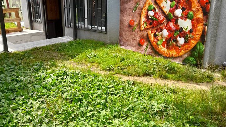 Family Pizza