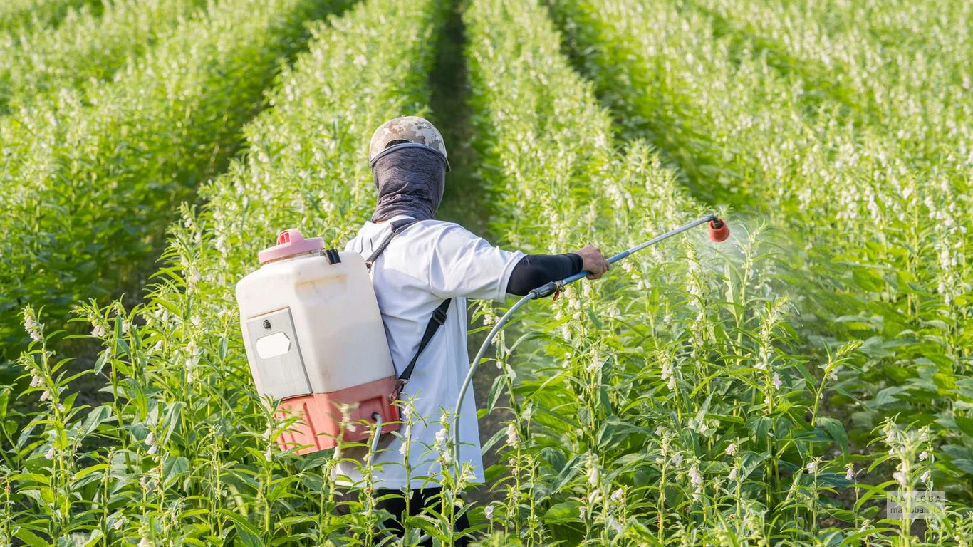 Agromed