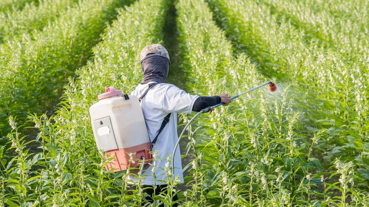 Agromed