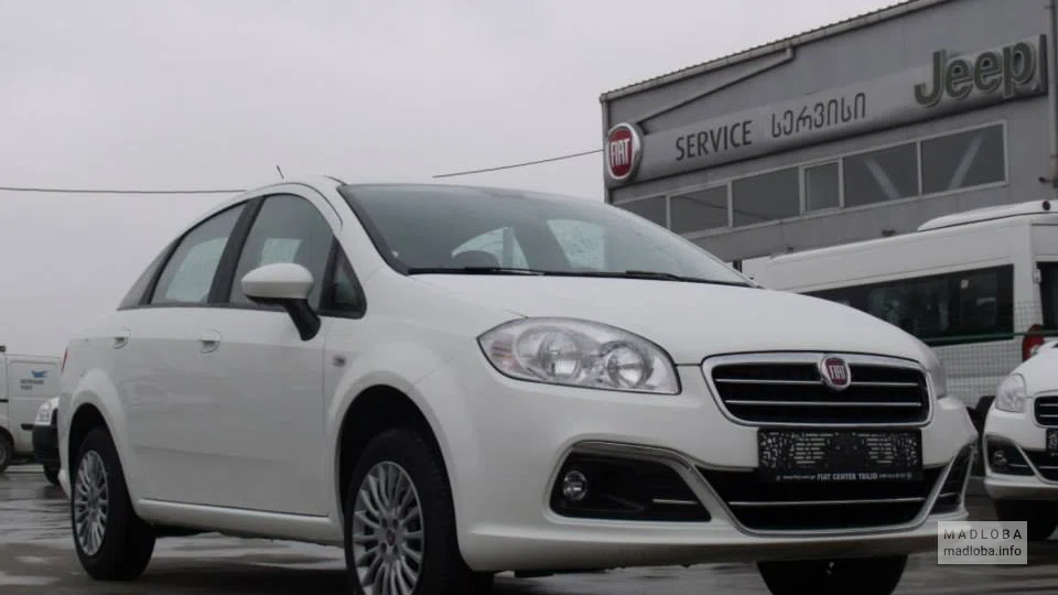 Автомобиль FIAT в Грузии