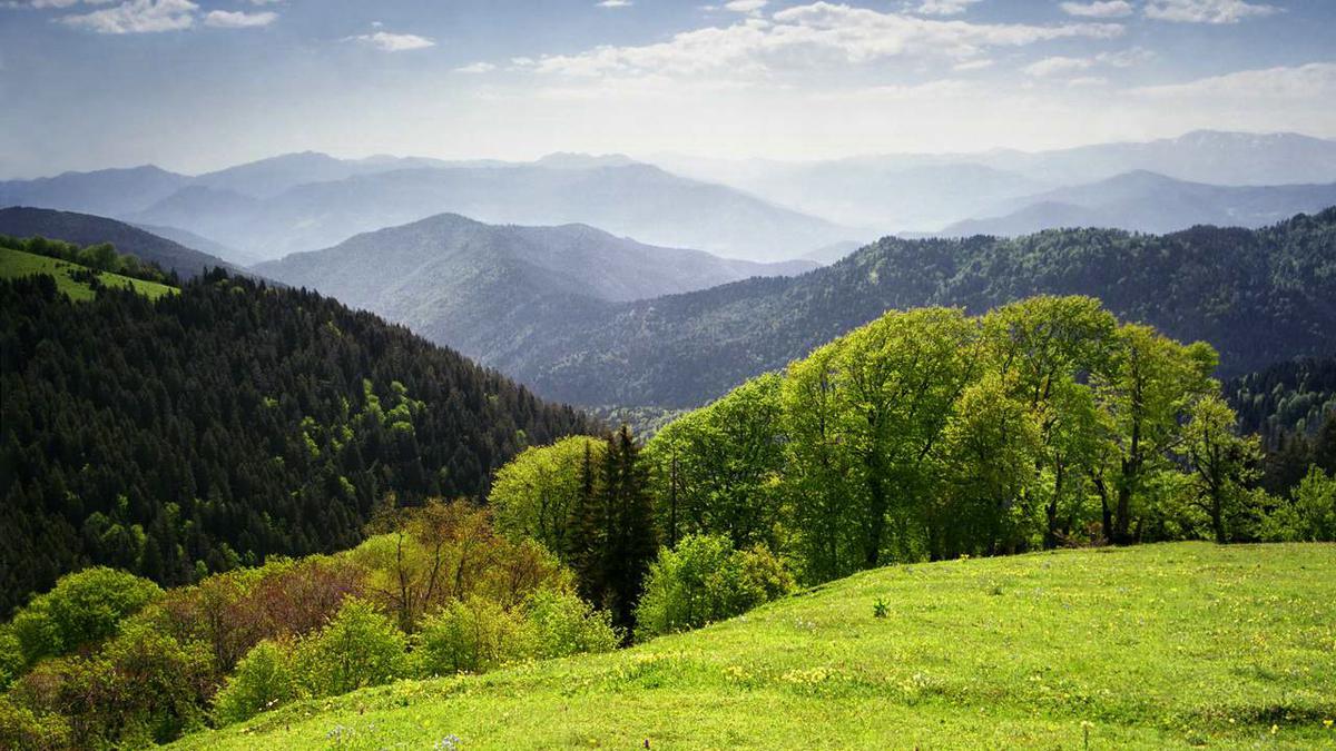 Чачунский заказник в Грузии
