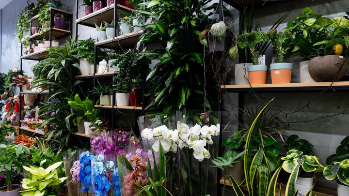 Floral Design
