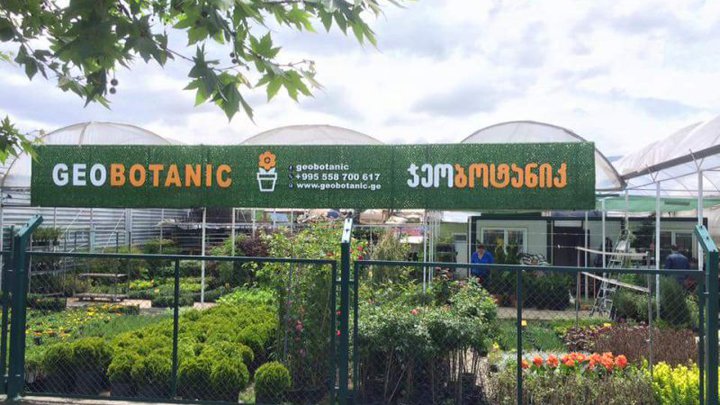 Geobotanic