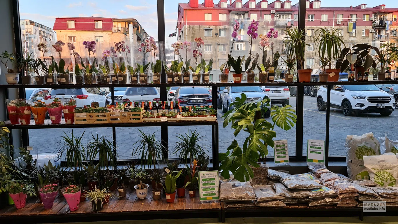 Hypermarket AgroHub batumi