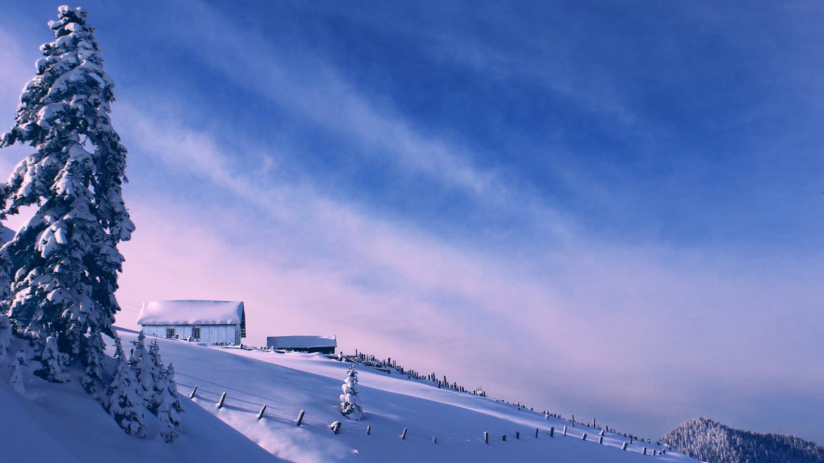 Snowy landscape