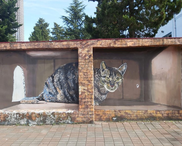 graffiti-batumi-15.jpg
