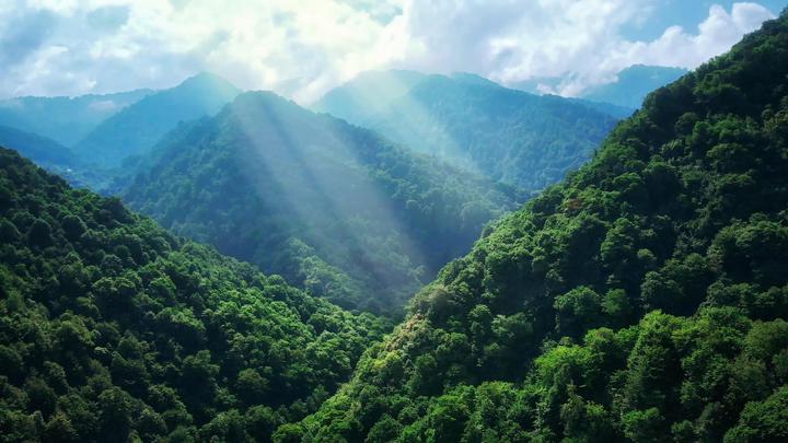 Dinosaur Tracks and Jurassic Park in Georgia: Three more nature reserves/national parks