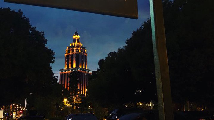 გრილ თაუნი