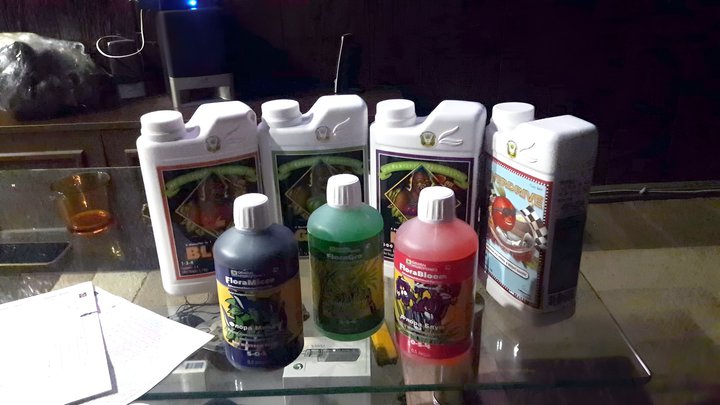 Grow shop