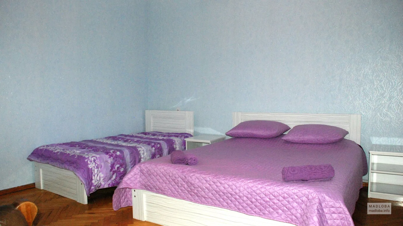 Трехместный номер в Hotel Zaira
