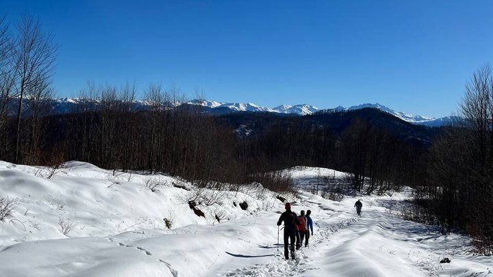 hiking-mount-mtirala-07.jpg